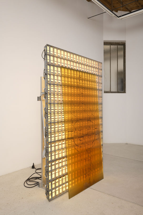 Delarue Chloe Tafaa 2021 Only Relics Feed The Desert New Fraudulent Taxonomy Photo Aurelien Mole Del2021 2927 Hd 1