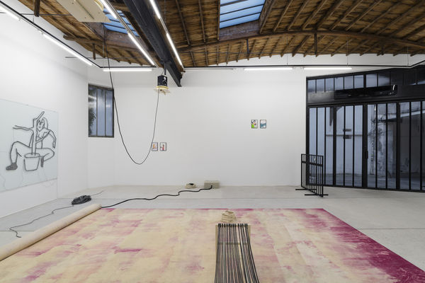 Letroter Anne 2023 Les Pornoplantes Exhibition View Photo Claire Dorn Hd 5