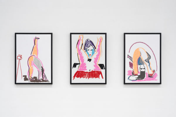 Letroter Anne 2023 Les Pornoplantes Exhibition View Photo Claire Dorn Hd 9