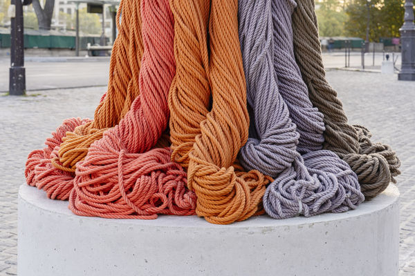 Hicks Sheila 2023 Vers Des Horizons Inconnus Parvis Institut De France Photo Claire Dorn Hic2023 3280 Bd10