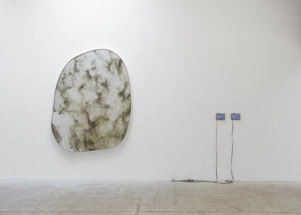 Balula Davide 2022 Some Farmed Others Mined Photo Claire Dorn Exhibition View Hd 4