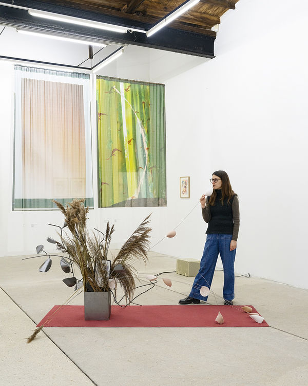 Alt 20242870 Clairedorn Figure Light