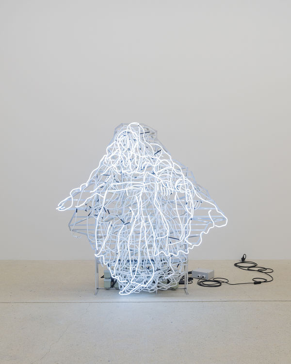 Cd 20243607 Clairedorn