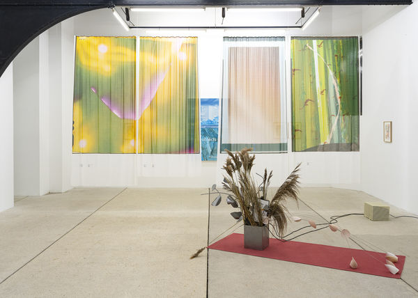 Kam 20171021 Alt 20242870 Clairedorn