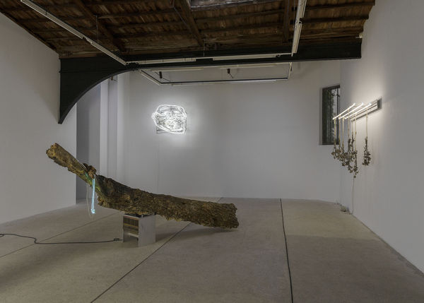 Clairedorn Dsc5489 Copie