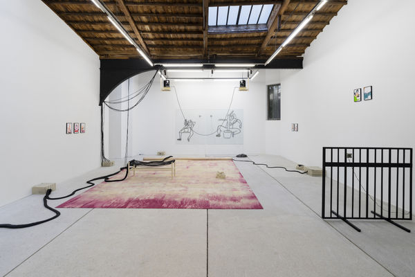 Anne Le Troter Les Pornoplantes