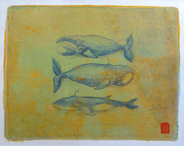 Irina Filcer, Balaena