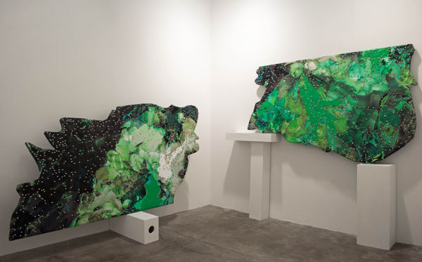 Selena Kimball | Night Vision Solo exhibition