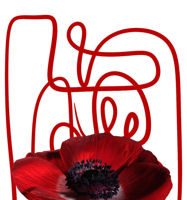 Focus - The 6th Love Language Art that Brings Us Closer