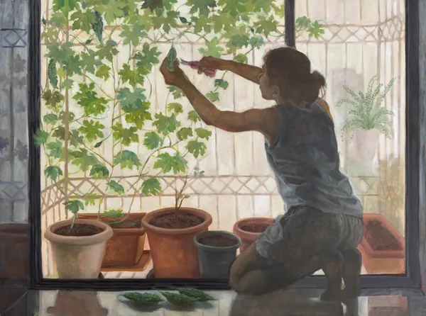 Hemali Vadalia, Window Garden, 2025
