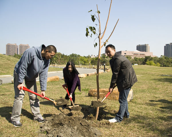 Flesh and the stone city—Commentary on Shi Jin-Hua’s art work, Wu Chieh-Hsiang