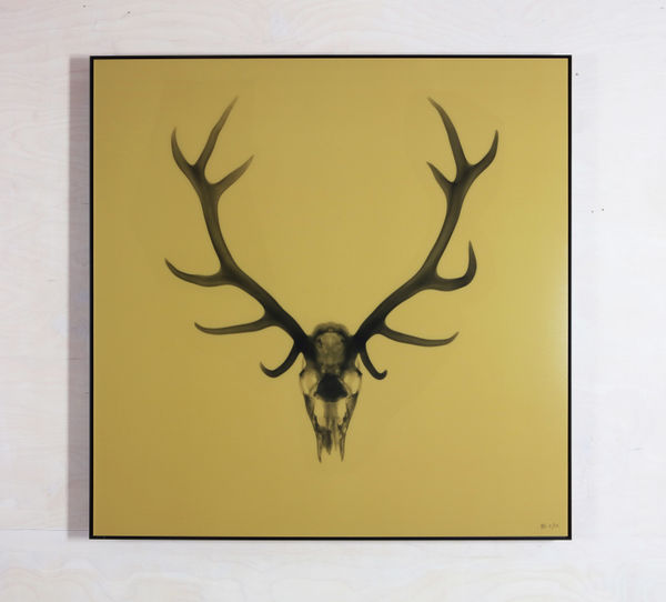 Antlers Gold, 2021 23 x 23 in., Ed. 25 33 x 33 in., Ed. 15