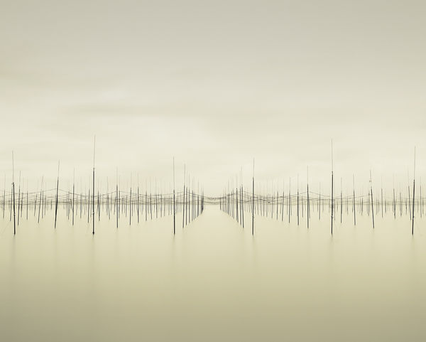 Matrix, Ariake Sea, Japan, 2010 13 x 16 in., Ed. 4 & 2AP 21 x 24 in., Ed. 4 & 2AP 32 x 40 in., Ed.7 & 2AP 44 x 55 in., Ed. 7 & 2AP