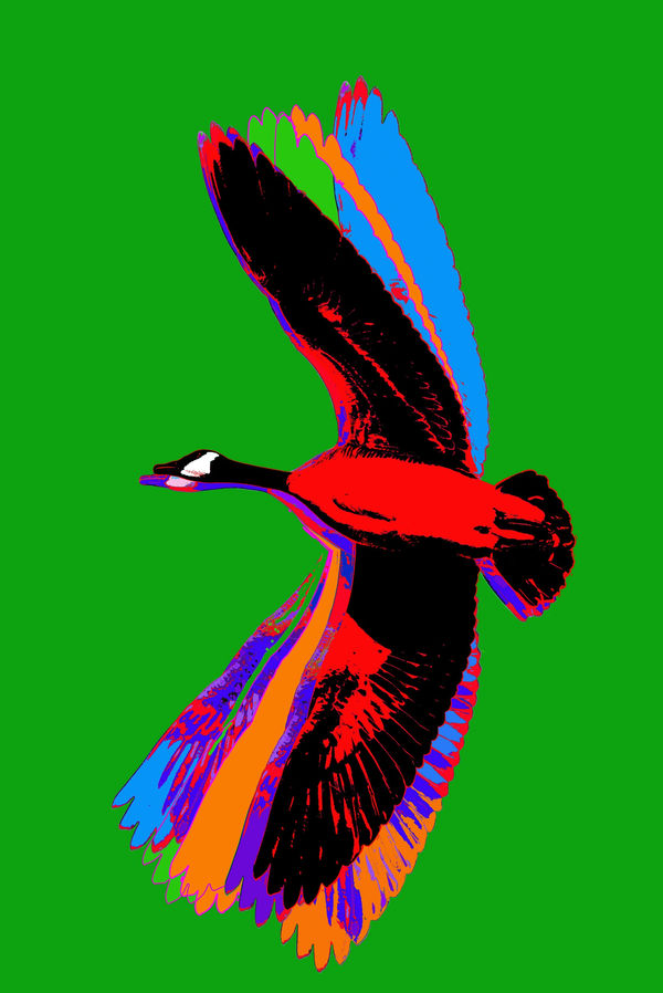 Flight (from Made in Canada part 2, Canada Goose - GREEN) 190808, 2019 54 x 36 in., Ed. 15 & 3AP 72 x 48 in., Ed. 15 & 3AP