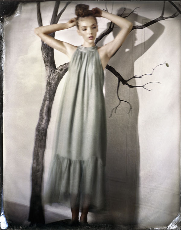 In A Tree, 2022 10 x 8 in., Ed. 10 & 2AP 30 x 24 in., Ed. 10 & 2AP 50 x 40 in., Ed. 10 & 2AP