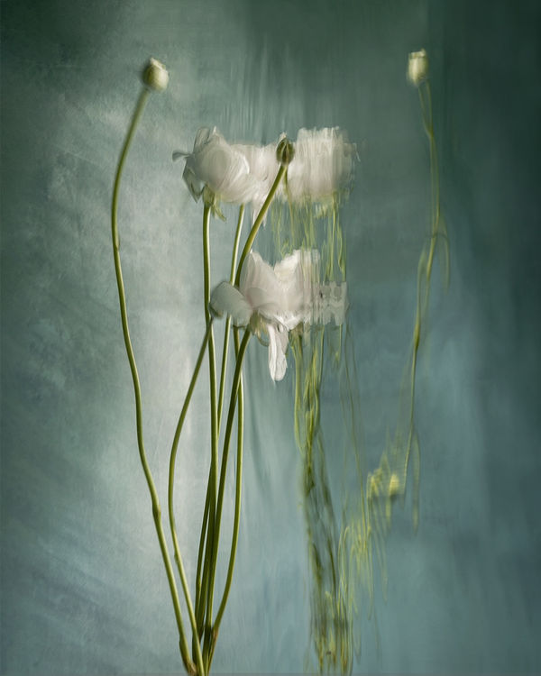 Abigail, 2020 40 x 32 in., Ed. 8 & 2AP 54 x 43 in., Ed. 8 & 2AP 64 x 51 in., Ed. 8 & 2AP