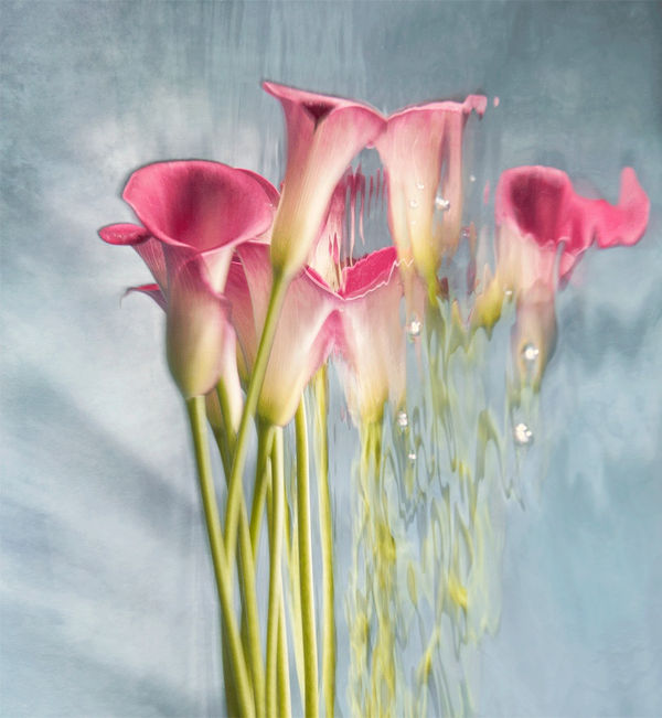 Arabella (Lenticular), 2020 40 x 37 in., Ed. 10 & 2AP