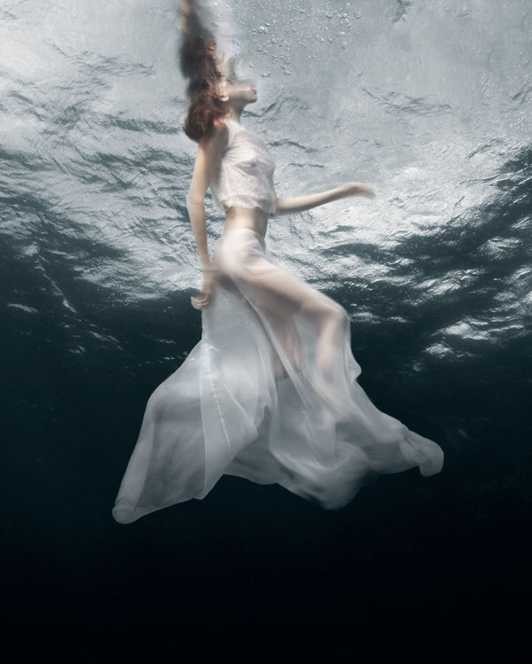 Adaptation, 2019 40 x 32 in., Ed. 7 & 2AP 54 x 43 in., Ed. 5 & 2AP 64 x 51 in., Ed. 5 & 2AP 75 x 60 in., Ed. 3 & 2AP