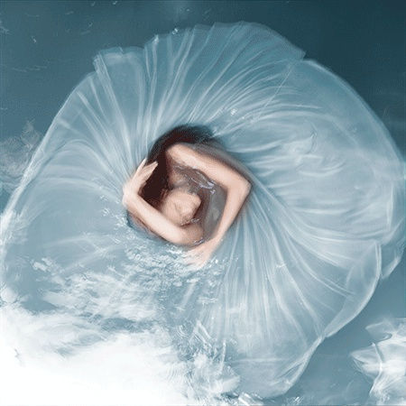 Forget Me Not (Lenticular), 2016 30 x 30 in., Ed. 10 & 2AP 48 x 48 in., Ed. 10 & 2AP