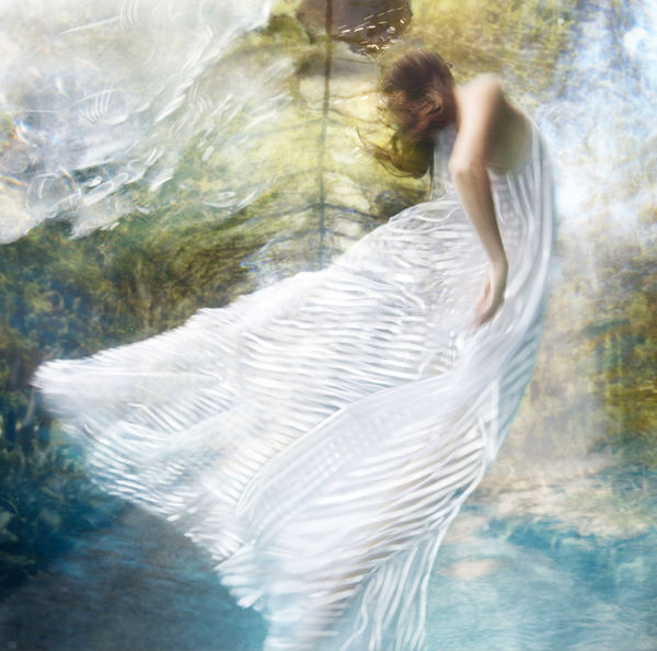 Palace Gardens, 2016 48 x 48 in., Ed. 10 & 2AP 60 x 60 in., Ed. 10 & 2AP