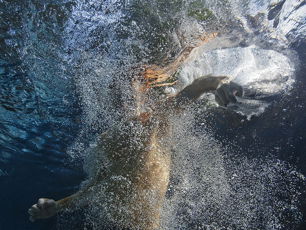 Vibration, 2008 30 x 40 in., Ed. 7 & 2AP 40 x 54 in., Ed 5 & 2AP 48 x 64 in., Ed. 5 & 2AP 60 x 80 in., Ed. 3 & 2AP