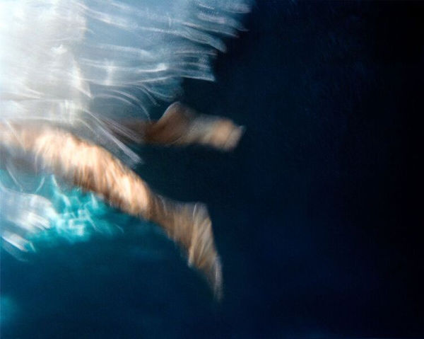 Flutter Kick, 2002 32 x 40 in., Ed. 15 & 2AP 43 x 54 in., Ed. 5 & 2AP 51 x 64 in., Ed. 5 & 2AP 64 x 80 in., Ed. 3 & 2AP