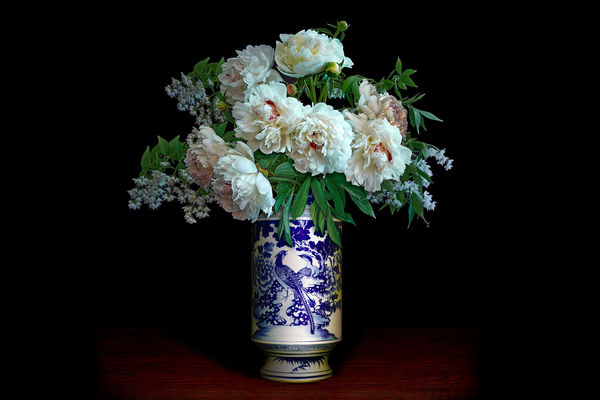 T.M. Glass - Alium in an Ancient American Tripod Vessel, 2017