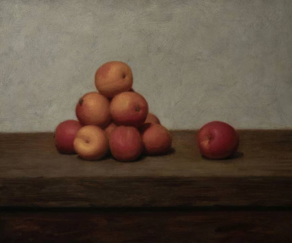 Will Calver Still Life 2024
