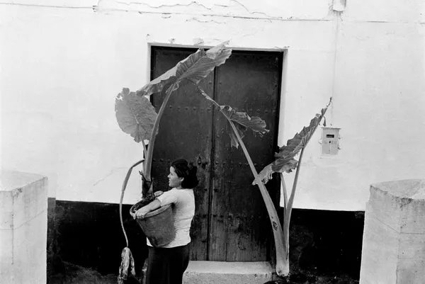 Joel Meyerowitz, Spain, 1966