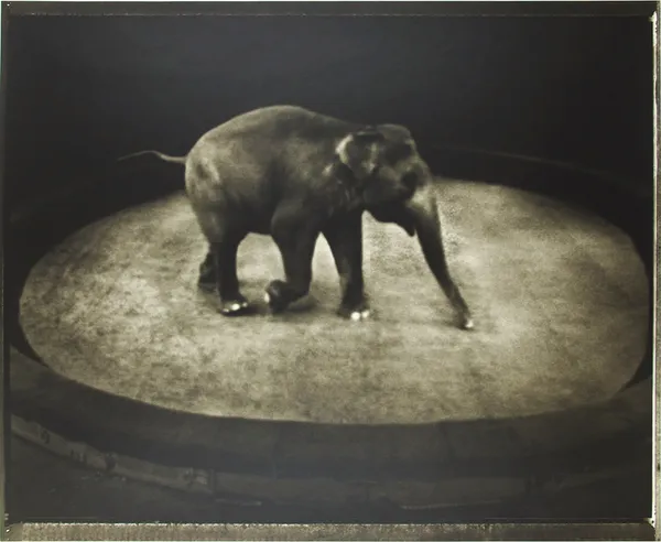 Sarah Moon, La piste, 2007