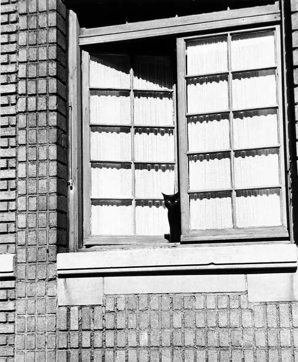 Selection by Jane Weinman & Lisa Shaw