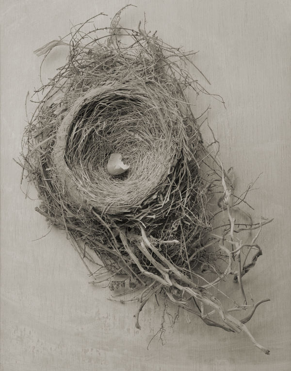 Yumiko Izu, Icarus 2, 2016