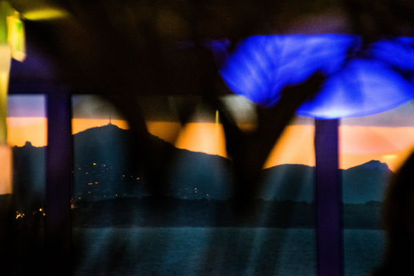 Judy Glickman Lauder, South of France, 2015