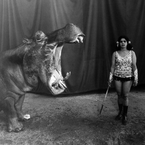 Mary Ellen Mark, Hippopotamus and Performer, Great Rayman Circus, Madras, 1989