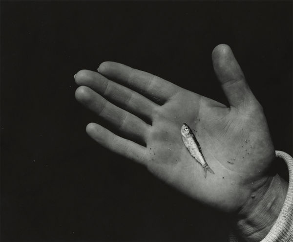 Aaron Siskind, Untitled, 1939