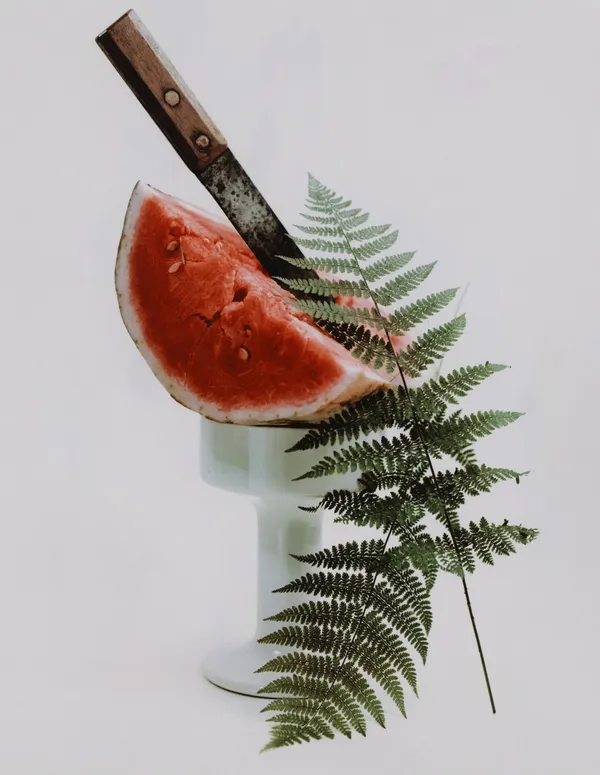 Leslie Gill, Composition with Watermelon, NYC, 1946