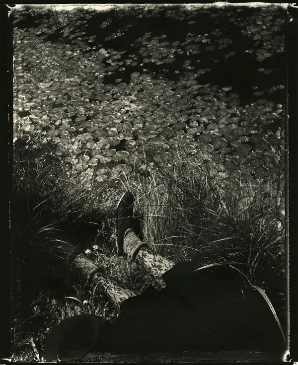 Sarah Moon, 18 Juillet, 1989