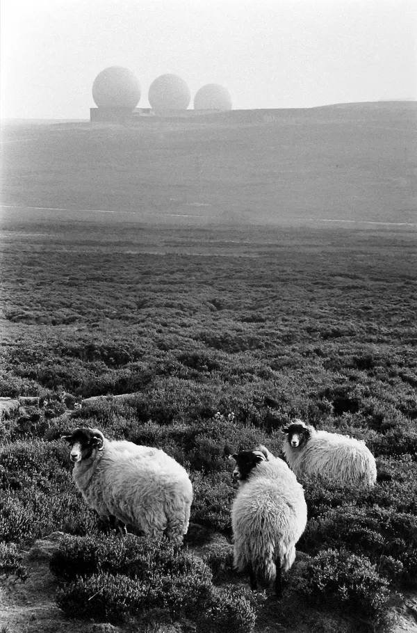 Selection by Arshak Martirosyan