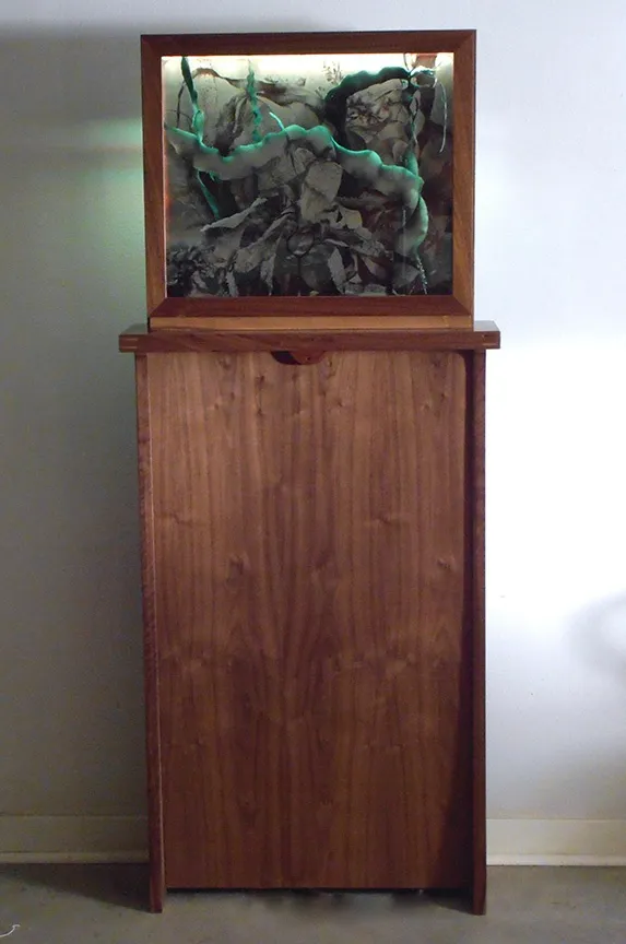 Luther Gerlach, Photosynthetic, 2016