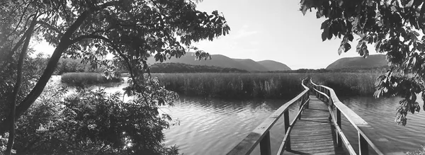 Eric Lindbloom, Constitution Marsh, Cold Springs, NY, 1989