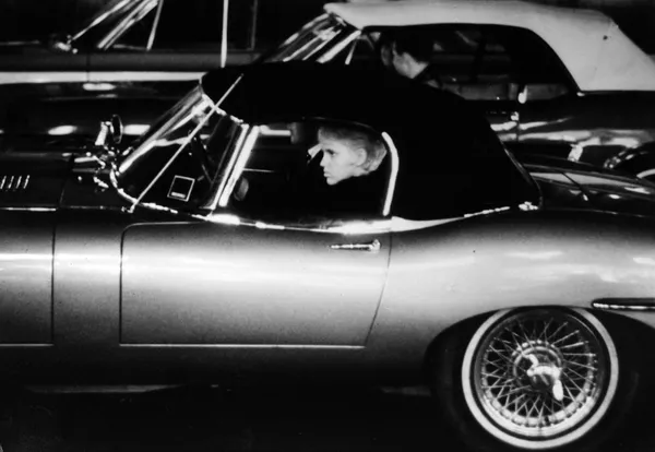 Selection by Alicia Colen