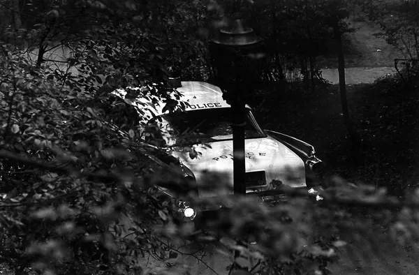 Selection by Alicia Colen