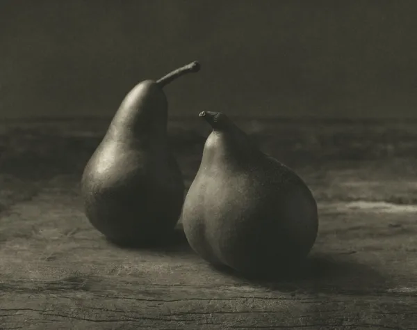 Kenro Izu, Still Life #103, 1990