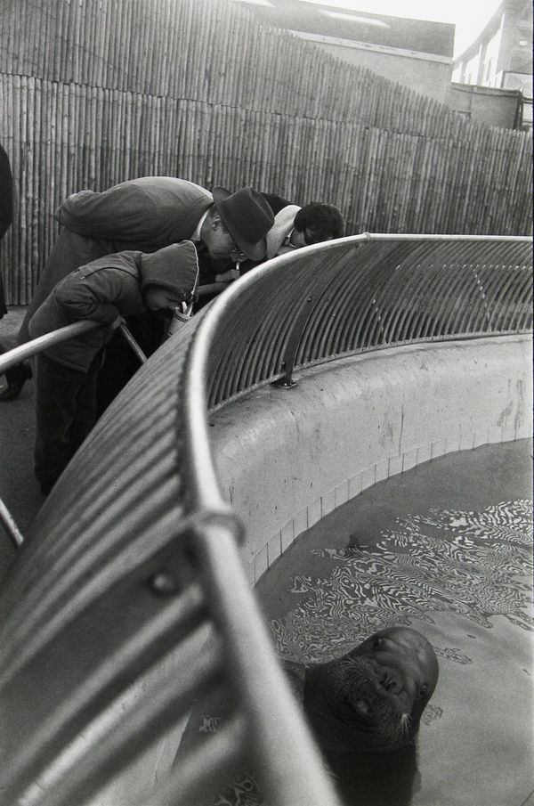 Garry Winogrand, Untitled, 1964