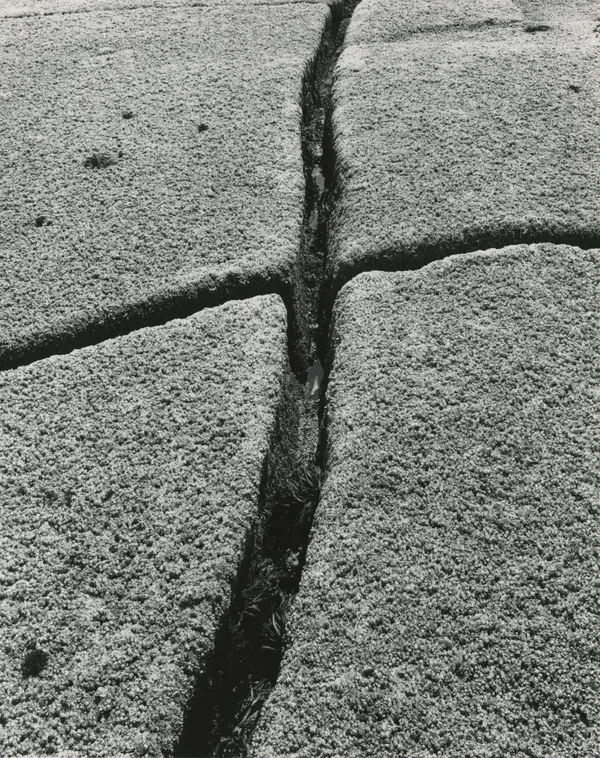 Charles Pratt, Untitled, c.1960