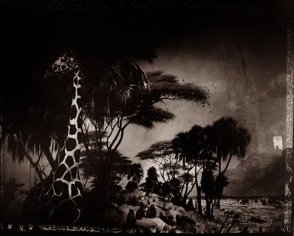 Sarah Moon, New York, 1989