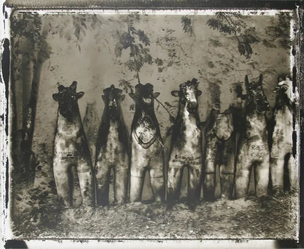 Sarah Moon, Varamasi, 2003