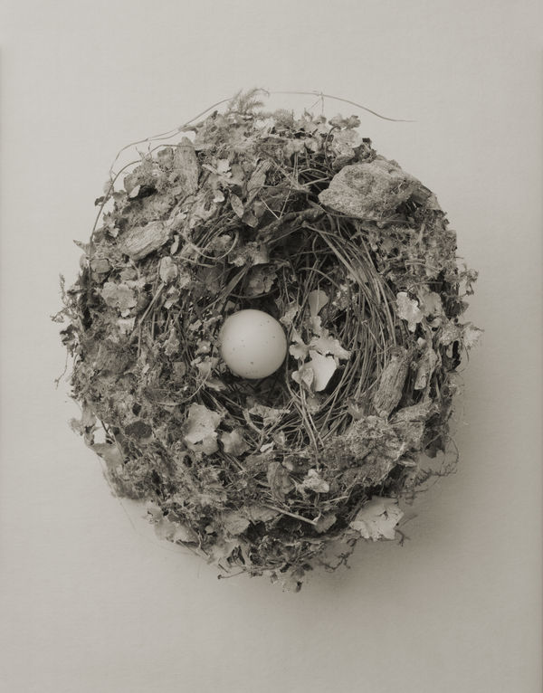 Yumiko Izu, Icarus 13, 2016