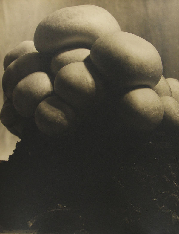 John Vanderpant, Untitled (variant of Mushrooms), c.1930