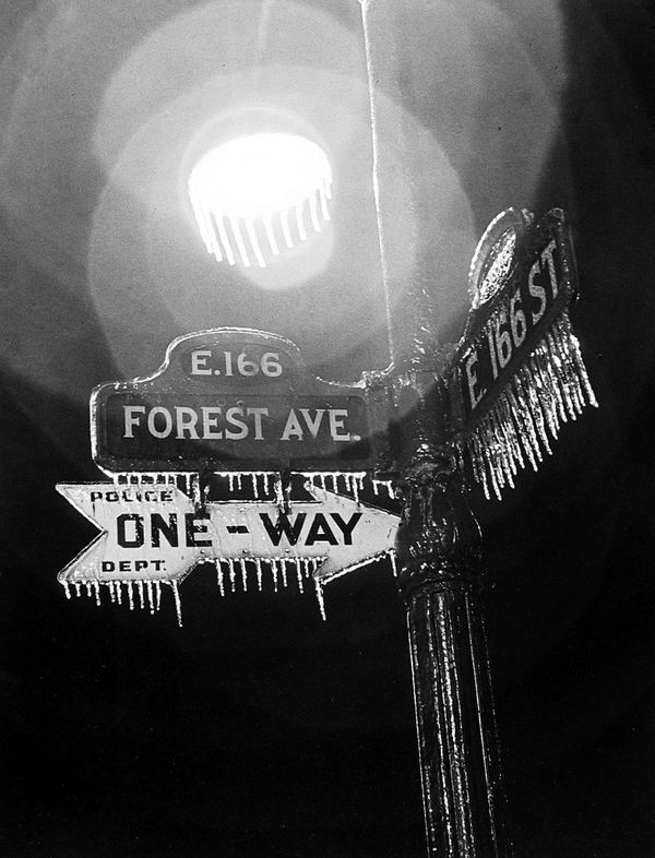 Harold Roth, Forest Avenue, Icicles, 1939